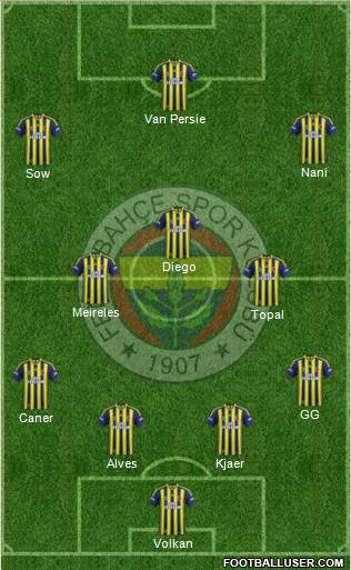 Fenerbahçe SK Formation 2015