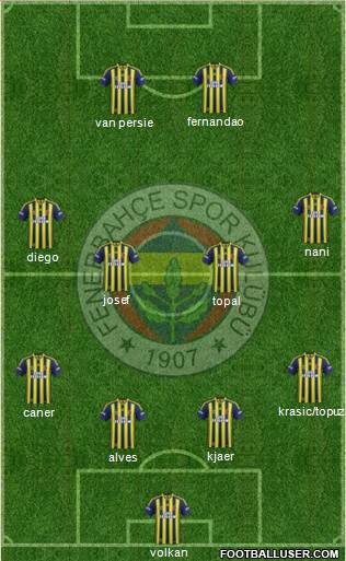 Fenerbahçe SK Formation 2015