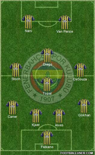 Fenerbahçe SK Formation 2015