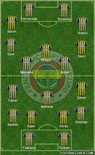 Fenerbahçe SK Formation 2015