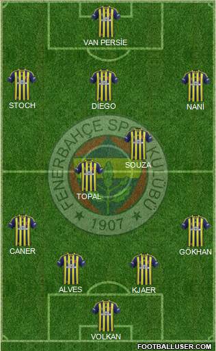 Fenerbahçe SK Formation 2015