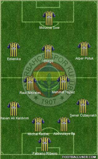 Fenerbahçe SK Formation 2015