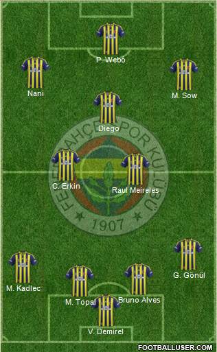 Fenerbahçe SK Formation 2015
