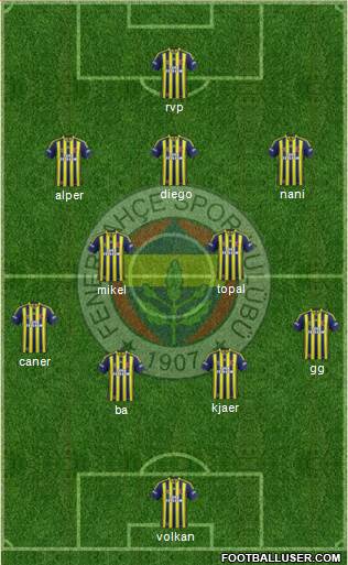 Fenerbahçe SK Formation 2015