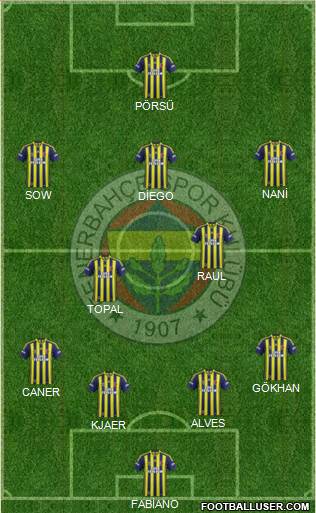 Fenerbahçe SK Formation 2015
