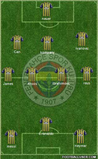 Fenerbahçe SK Formation 2015
