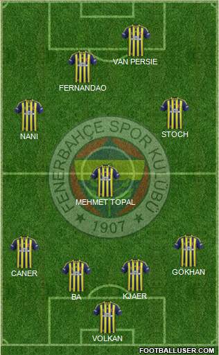 Fenerbahçe SK Formation 2015