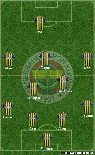 Fenerbahçe SK Formation 2015