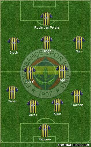 Fenerbahçe SK Formation 2015
