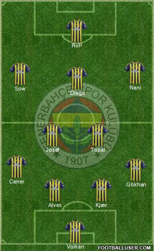 Fenerbahçe SK Formation 2015