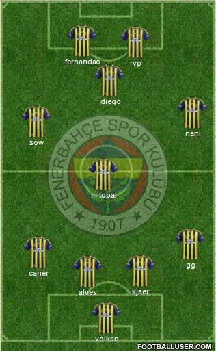 Fenerbahçe SK Formation 2015