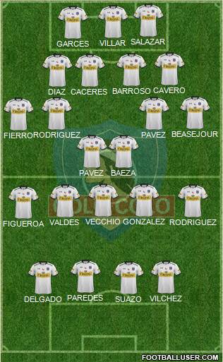 CSD Colo Colo Formation 2015