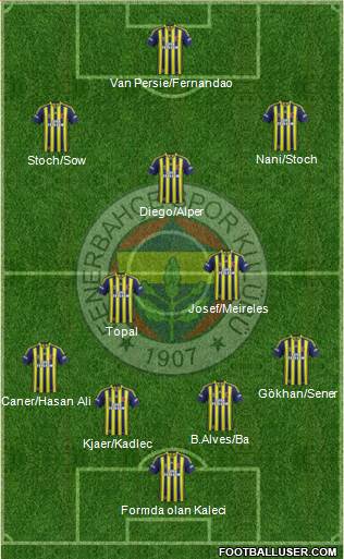 Fenerbahçe SK Formation 2015