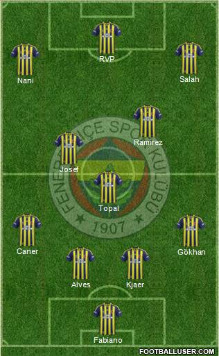 Fenerbahçe SK Formation 2015
