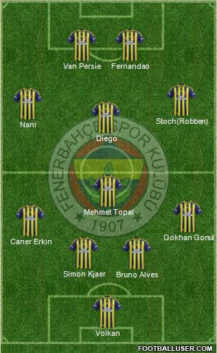 Fenerbahçe SK Formation 2015