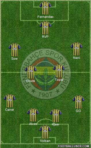 Fenerbahçe SK Formation 2015