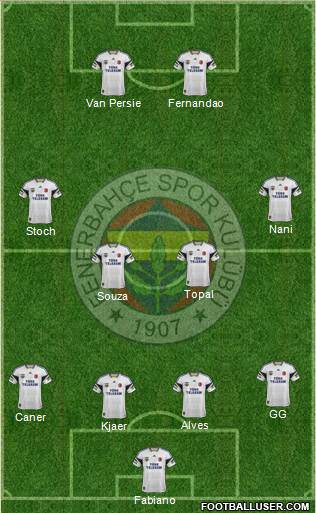 Fenerbahçe SK Formation 2015