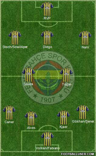 Fenerbahçe SK Formation 2015