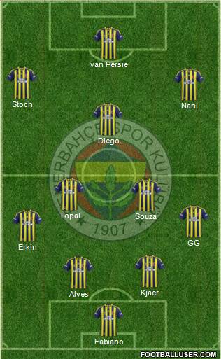 Fenerbahçe SK Formation 2015
