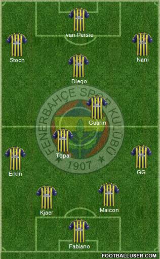 Fenerbahçe SK Formation 2015