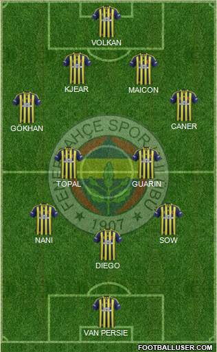 Fenerbahçe SK Formation 2015