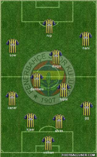 Fenerbahçe SK Formation 2015