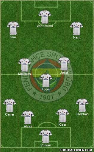 Fenerbahçe SK Formation 2015