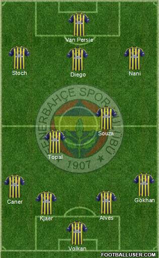 Fenerbahçe SK Formation 2015
