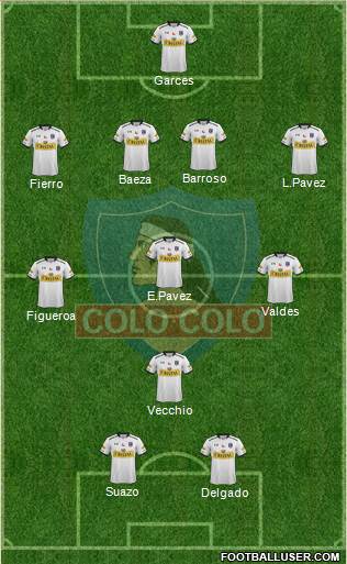 CSD Colo Colo Formation 2015