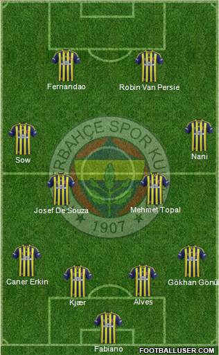 Fenerbahçe SK Formation 2015