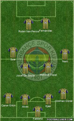 Fenerbahçe SK Formation 2015
