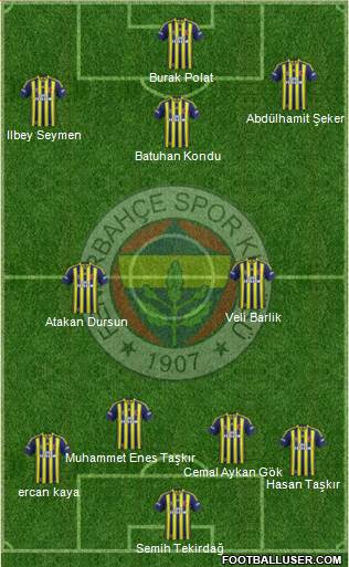 Fenerbahçe SK Formation 2015