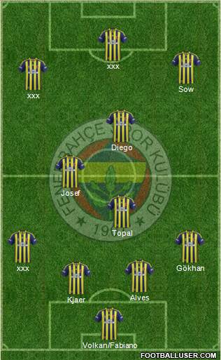 Fenerbahçe SK Formation 2015
