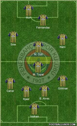 Fenerbahçe SK Formation 2015