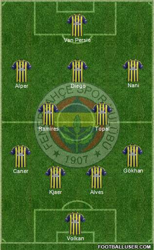 Fenerbahçe SK Formation 2015