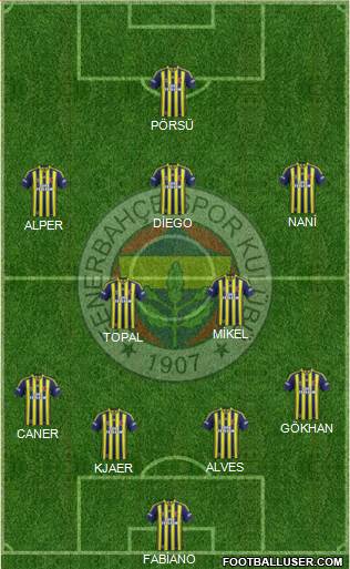 Fenerbahçe SK Formation 2015