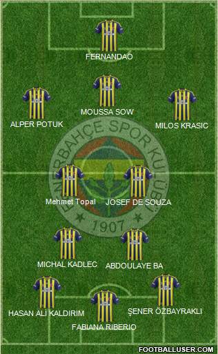 Fenerbahçe SK Formation 2015