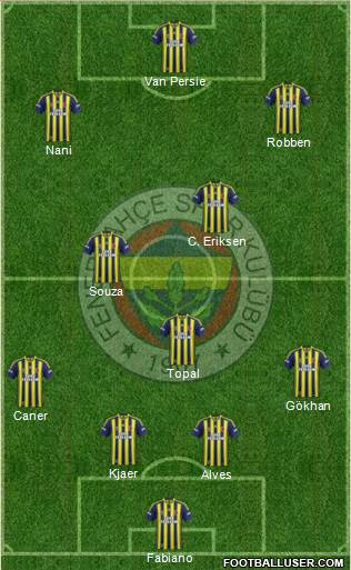 Fenerbahçe SK Formation 2015
