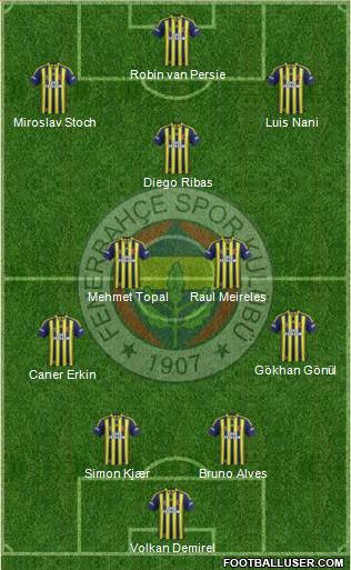 Fenerbahçe SK Formation 2015