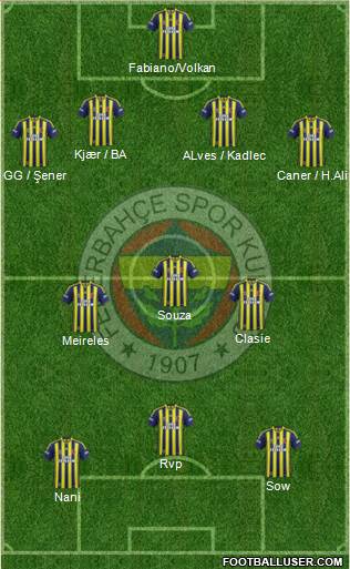 Fenerbahçe SK Formation 2015