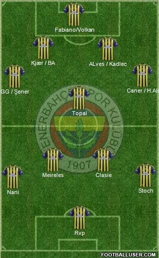 Fenerbahçe SK Formation 2015