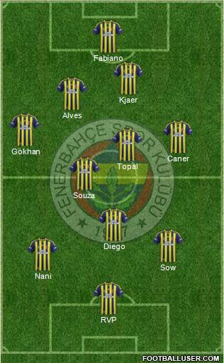 Fenerbahçe SK Formation 2015
