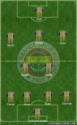 Fenerbahçe SK Formation 2015
