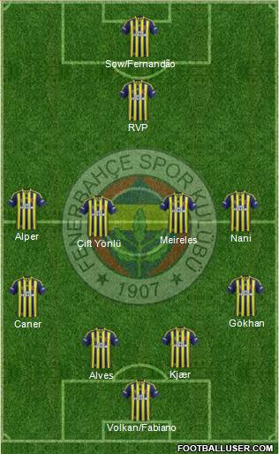 Fenerbahçe SK Formation 2015