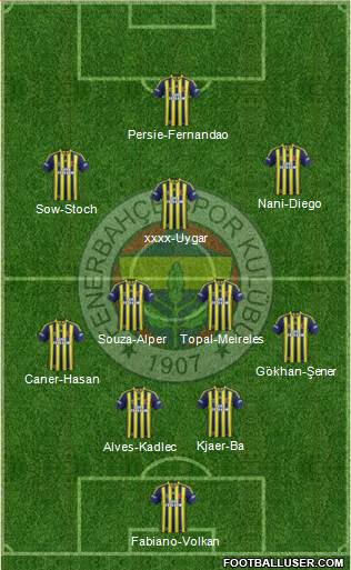 Fenerbahçe SK Formation 2015