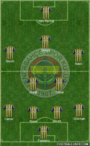 Fenerbahçe SK Formation 2015