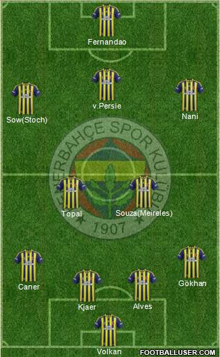 Fenerbahçe SK Formation 2015