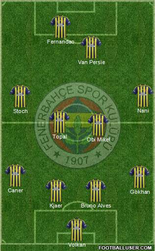 Fenerbahçe SK Formation 2015