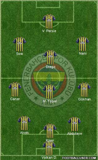 Fenerbahçe SK Formation 2015
