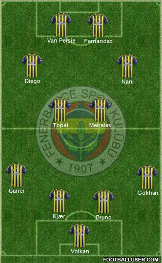 Fenerbahçe SK Formation 2015